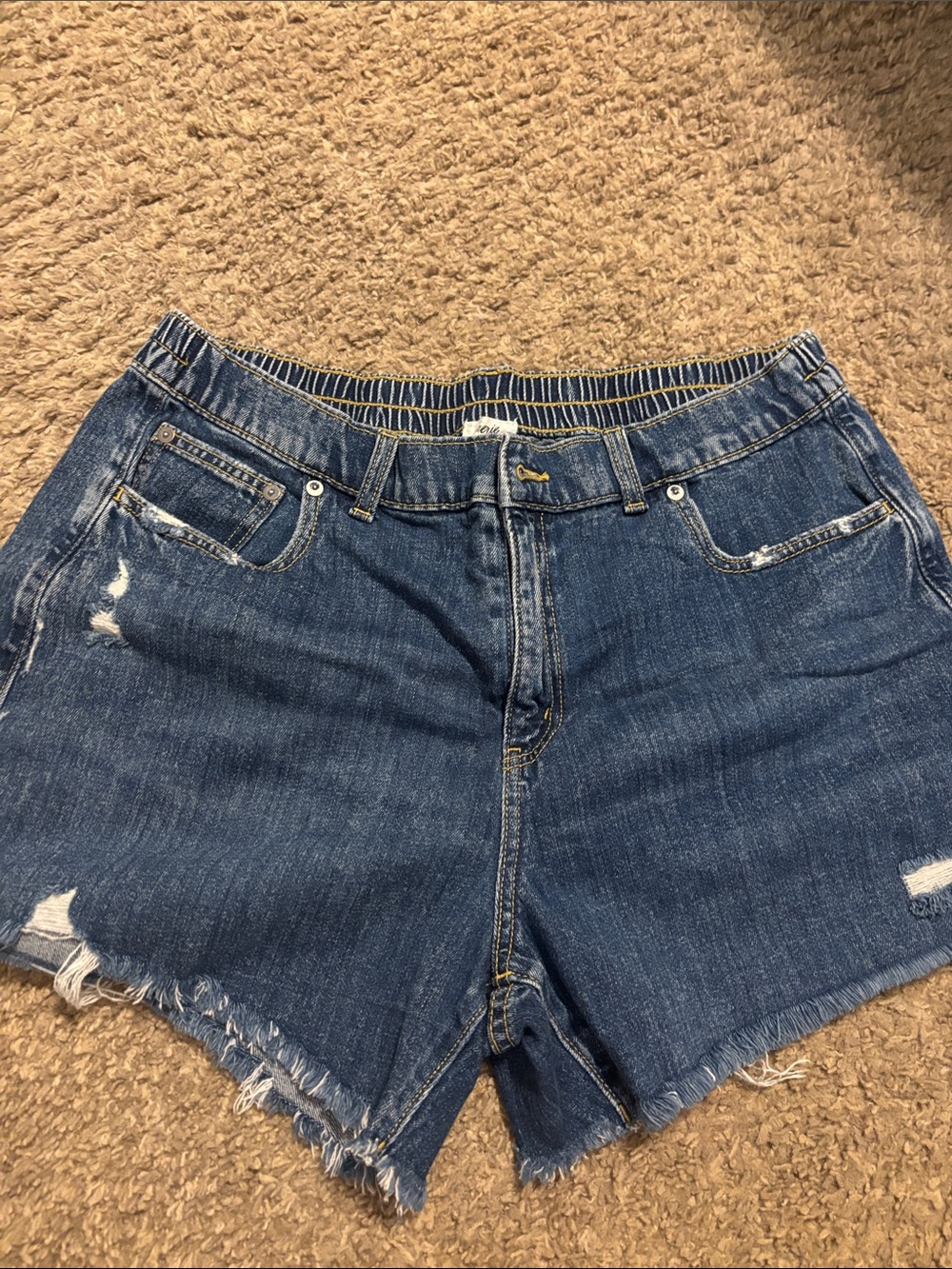 Denim Cutoff Shorts - Blue